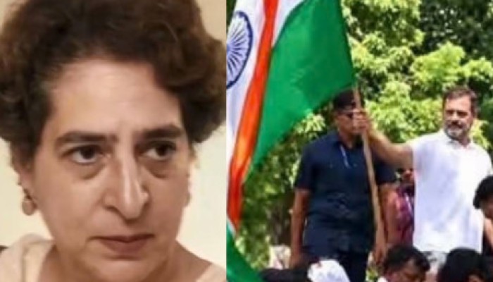 Priyanka, Rahul Gandhi detained during opposition protest in Delhi