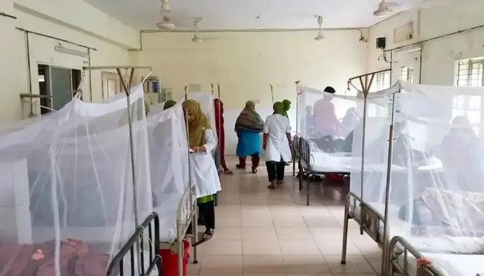 3 die of dengue in Khulna, 302 new cases