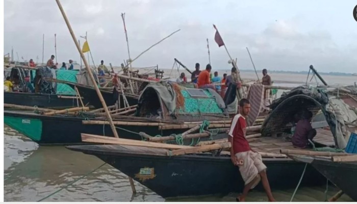 Rajbari’s ilish glory fades as Padma loses depth, current