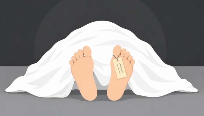 ​Rural power lineman electrocuted to death in Sirajganj