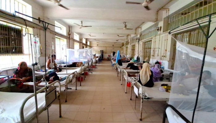 ​Dengue deaths cross 300