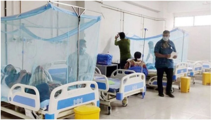 Dengue: 10 die, 1,943 hospitalised in 24 hours