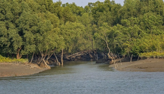 Experts call for strict safeguards to curb air pollution near Sundarbans