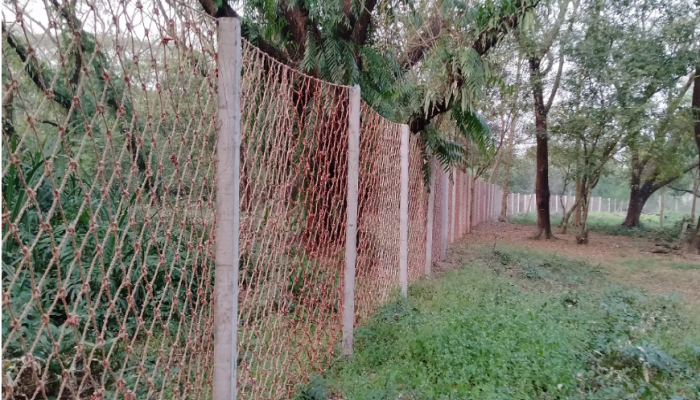 Nylon fences offer new line of defence against human-tiger conflict in Sundarbans