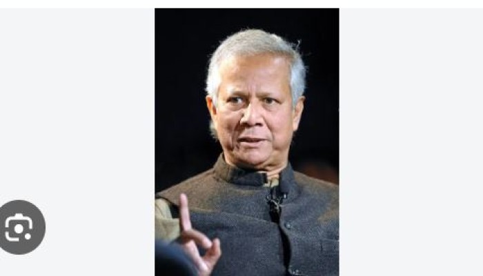 Chamber court stays HC verdict ordering Grameen Kalyan to pay Tk666cr in taxes