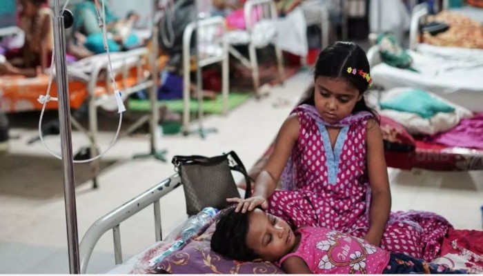​Dengue claims 7 more lives in 24 hrs; 1,373 patients hospitalised