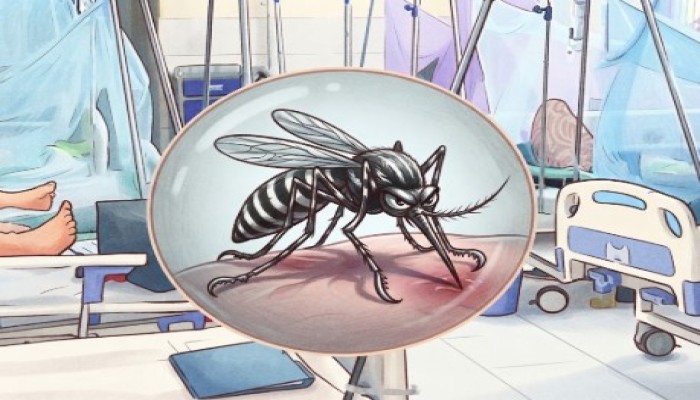 ​7 more die from dengue, daily hospital admissions hit yearly high