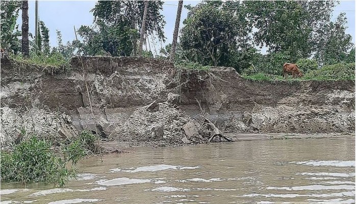 ​Padma River: Lawyer files petition seeking halt to illegal sand extraction