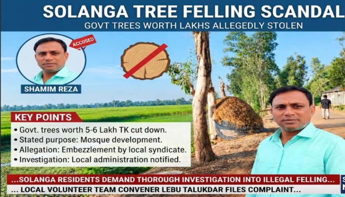 ​Allegations surface of felling roadside trees in Solanga, embezzling money in name of mosque donation
