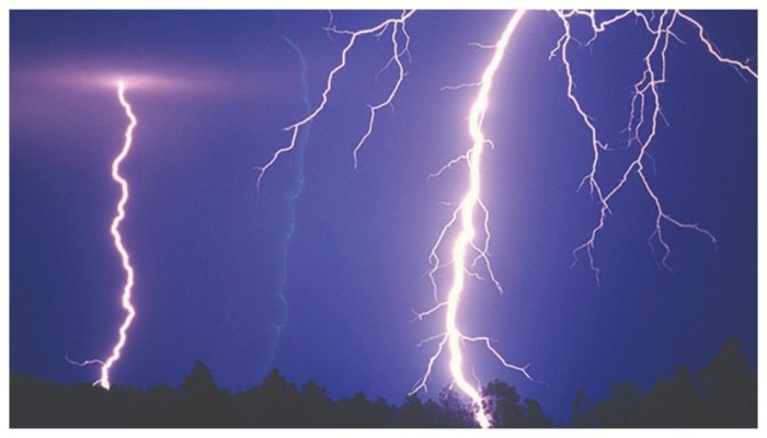 ​6 killed, 5 injured by lightning strike while fishing in a wetland in Pabna