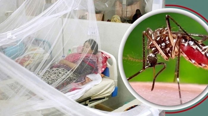 10 more die of dengue, highest in a day this year